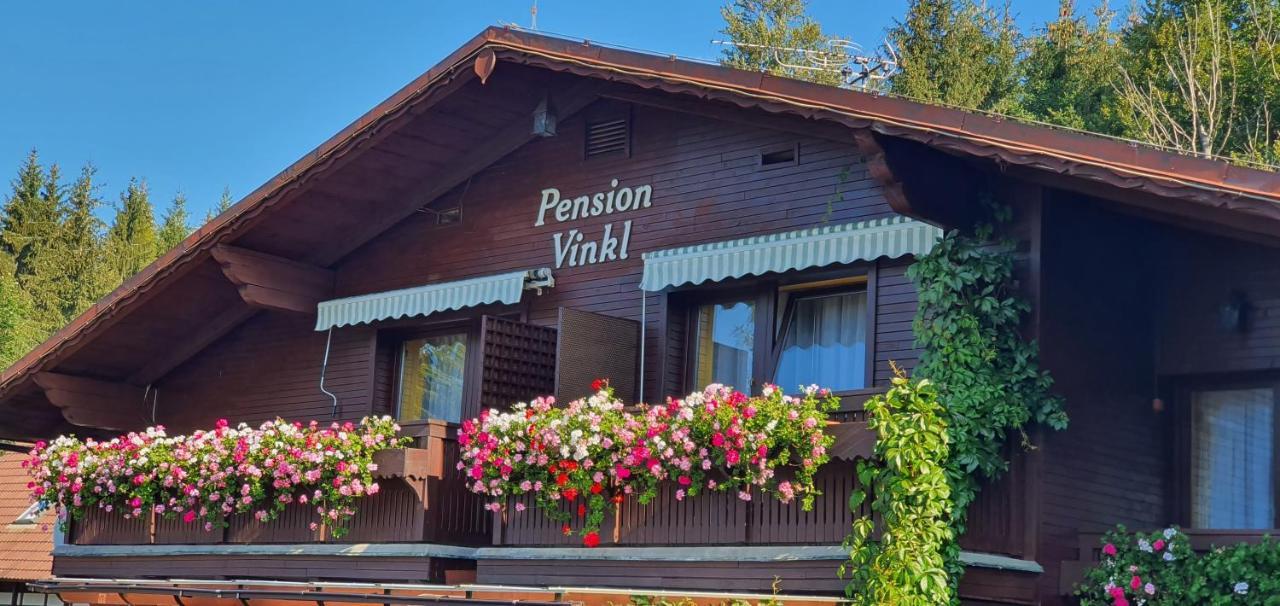 Pension Vinkl Harrachov Kültér fotó