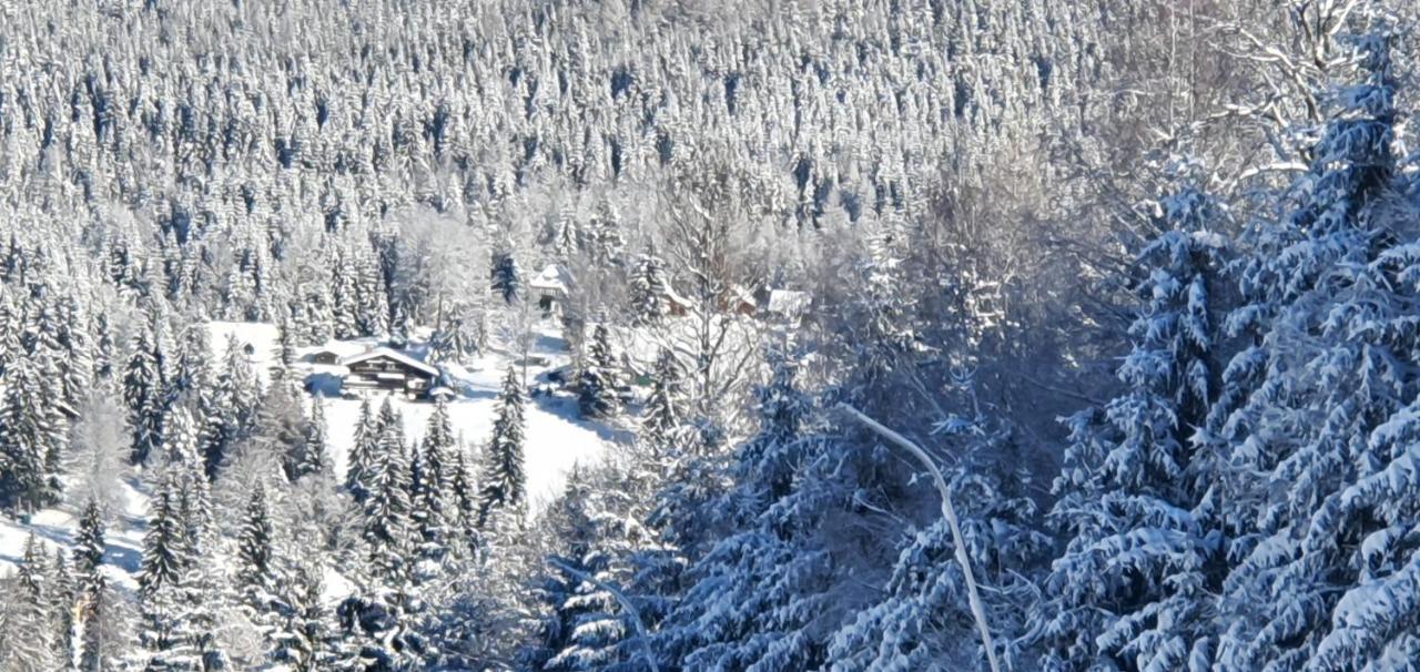 Pension Vinkl Harrachov Kültér fotó
